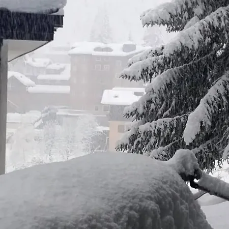 Montain Lovers * Madonna di Campiglio